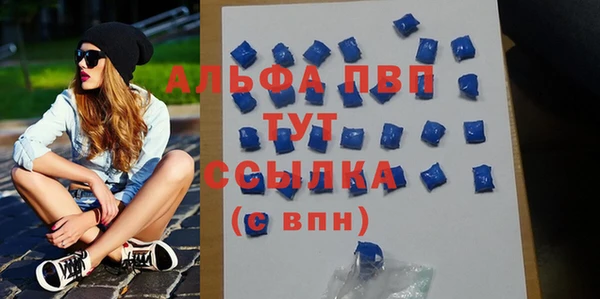 молекула духа Козельск