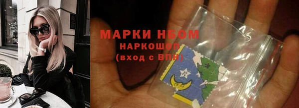 молекула духа Козельск