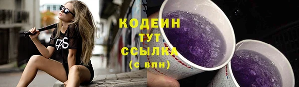 молекула духа Козельск