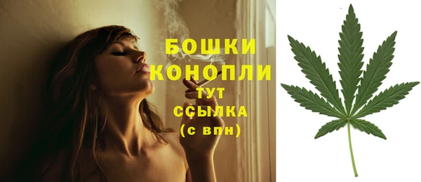 таблы Козловка