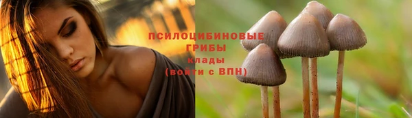 гашишное масло Кодинск