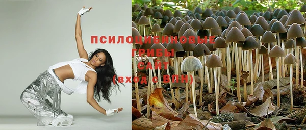 таблы Козловка
