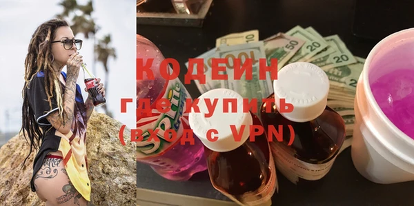 молекула духа Козельск