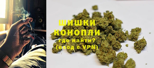 молекула духа Козельск